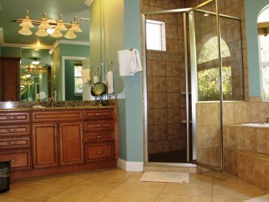 Spacious Bathroom with Shower and tub